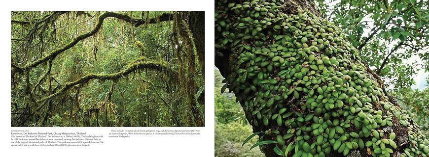 The Wild: The World's Most Spectacular Untamed Places F012738 фото