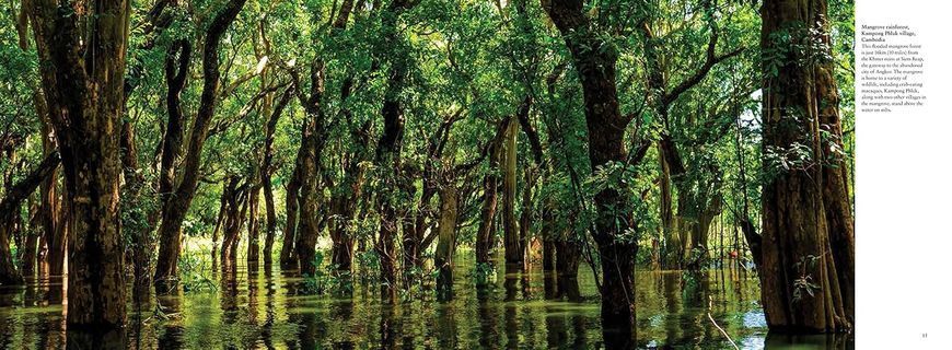 The Wild: The World's Most Spectacular Untamed Places F012738 фото