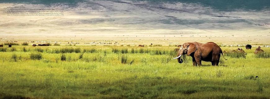 The Wild: The World's Most Spectacular Untamed Places F012738 фото