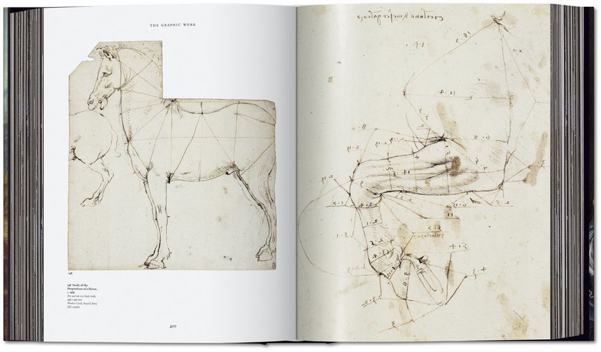Leonardo. The Complete Paintings and Drawings F003343 фото