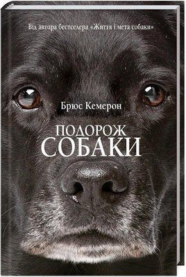 Подорож собаки F009300 фото