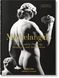 Michelangelo. The Complete Paintings, Sculptures and Architecture F006801 фото 1