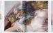 Michelangelo. The Complete Paintings, Sculptures and Architecture F006801 фото 5