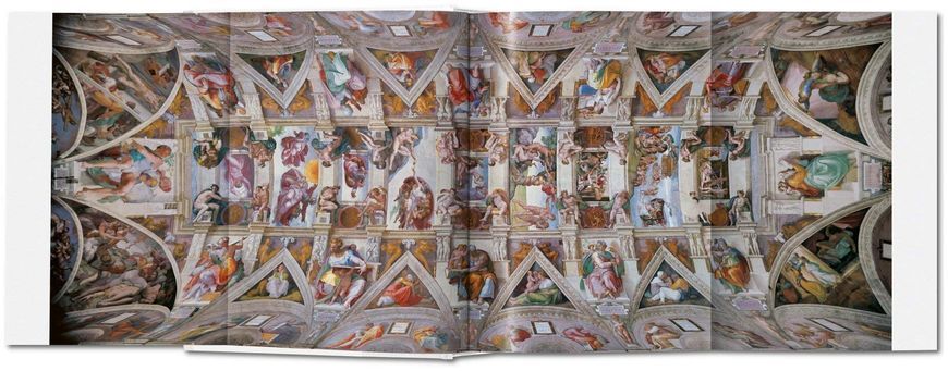 Michelangelo. The Complete Paintings, Sculptures and Architecture F006801 фото