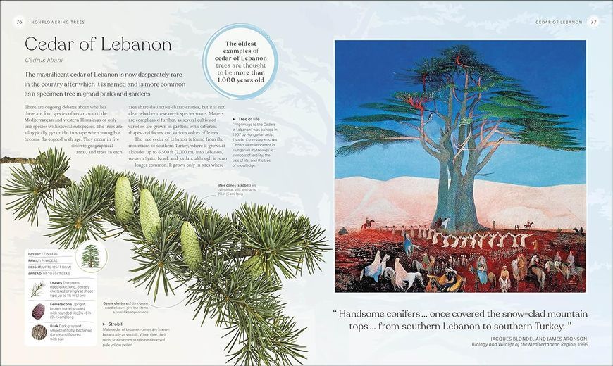The Tree Book. The Stories, Science, and History of Trees F010746 фото