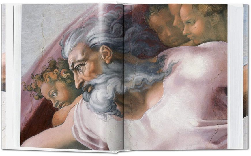 Michelangelo. The Complete Paintings, Sculptures and Architecture F006801 фото