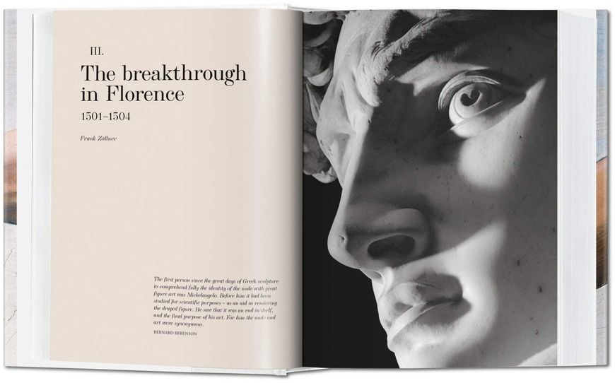 Michelangelo. The Complete Paintings, Sculptures and Architecture F006801 фото