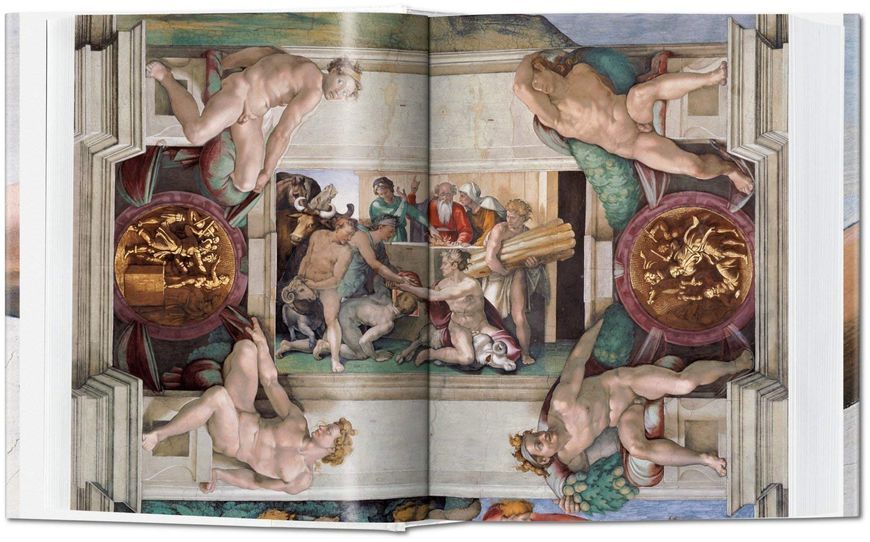 Michelangelo. The Complete Paintings, Sculptures and Architecture F006801 фото