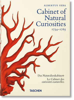 Seba. Cabinet of Natural Curiosities. 40th Ed. F005797 фото