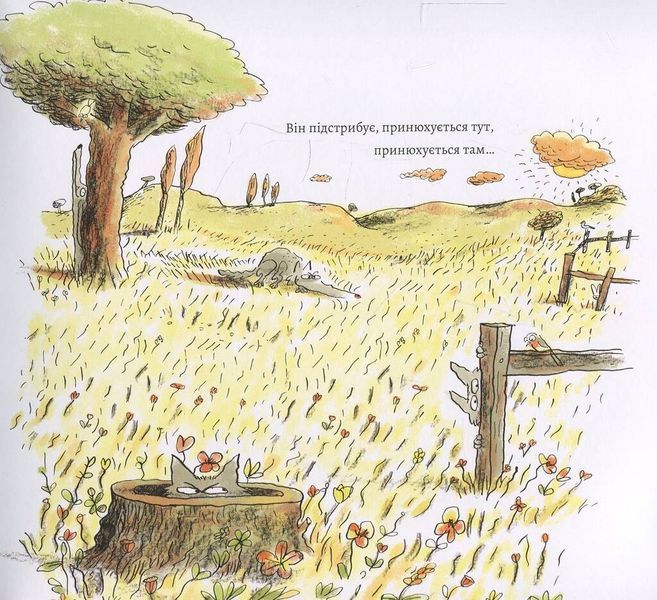 Сірий Вовк. Гарний настрій Сірого Вовка. Книга 1 F003738 фото