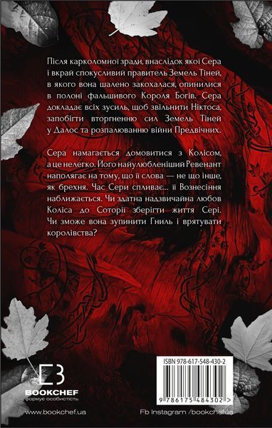 Плоть і вогонь. Книга 3. Вогонь у плоті Дженніфер Л. Арментраут F015041 фото