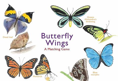 Butterfly Wings: A Matching Game F001406 фото