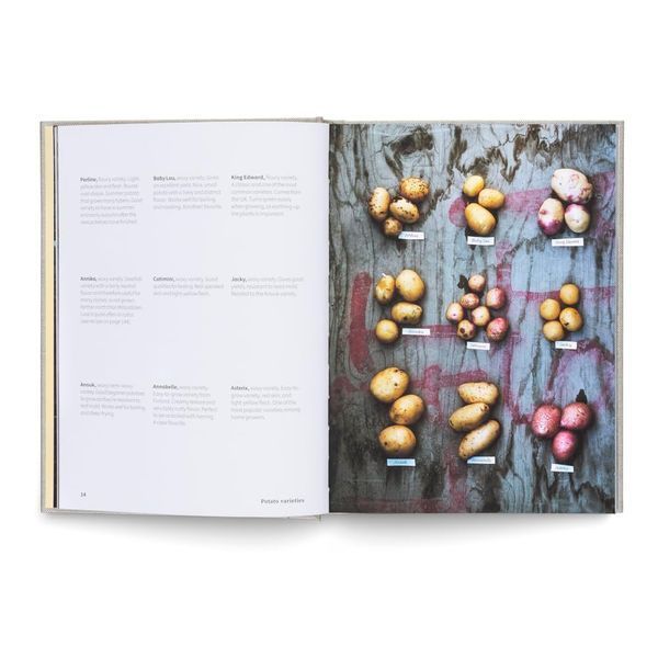 Potato Total: Timeless Recipes for Every Home Cook F014741 фото