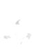 Антена (чорно-білі ілюстрації Гамлета) F006119 фото 12