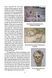 100 Key Events in Ukrainian History. Second edition F008468 фото 7