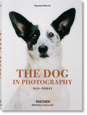 The Dog in Photography 1839–Today F003555 фото