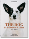 The Dog in Photography 1839&ndash;Today F003555 фото 10