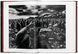Sebasti&atilde;o Salgado. GENESIS F000200 фото 7