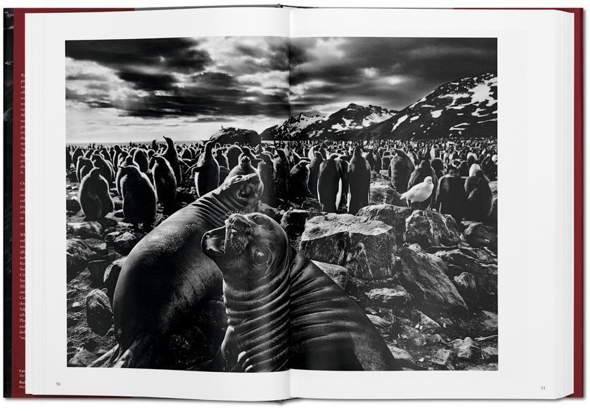 Sebasti&atilde;o Salgado. GENESIS F000200 фото