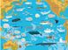 Атлас океанів з багаторазовими наліпками F007445 фото 3