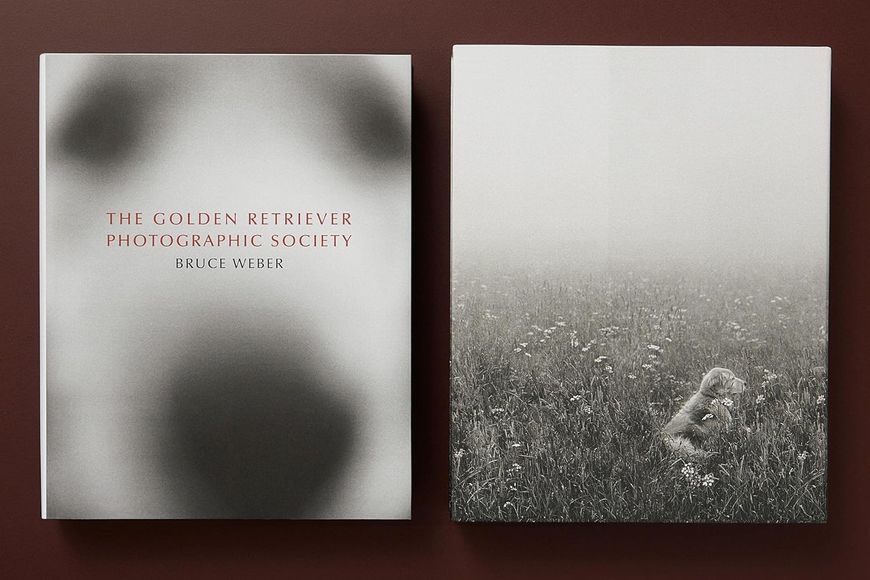 Bruce Weber. The Golden Retriever Photographic Society F013114 фото