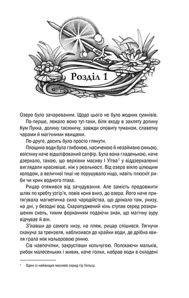 Відьмак. Володарка Озера. Книга 7 F004548 фото