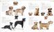 The Dog Encyclopedia F010734 фото 4