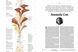 Visual Journalism: Infographics from the World's Best Newsrooms and Designers F001975 фото 2