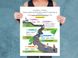 Комплект коуч-плакатів «Як спілкуватися з дитиною». 10 важливих інфографік, створених на базі книжок-бестселерів, про те, як будувати стосунки з дітьми і ростити їх щасливими й успішними F005612 фото 10