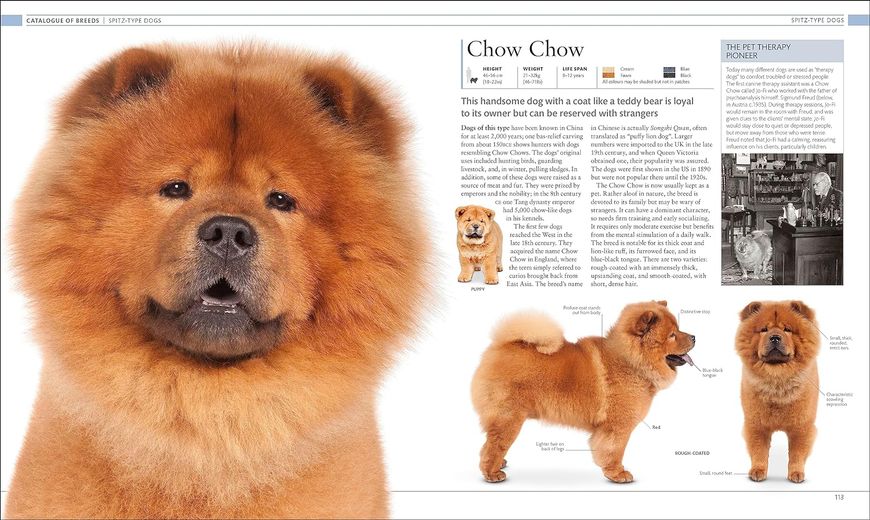 The Dog Encyclopedia F010734 фото