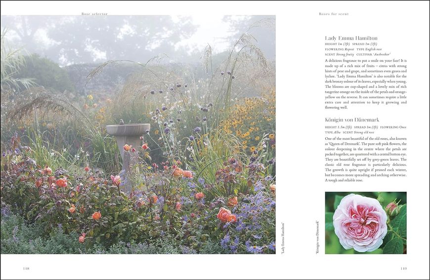 RHS Roses. An Inspirational Guide to Choosing and Growing the Best Roses F009748 фото