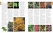 RHS A-Z Encyclopedia of Garden Plants F009747 фото 5
