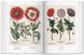 Basilius Besler. Florilegium. The Book of Plants F003138 фото 5