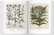 Basilius Besler. Florilegium. The Book of Plants F003138 фото 6