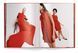 The Red Book (Fashion, Styles & Stories) F014156 фото 5