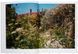 The Avant Gardens. Gardens Beyond Wild Expectations, Visionaries, and Landscape Architecture F009886 фото 8