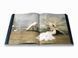 Tim Walker: Shoot for the Moon F001243 фото 2