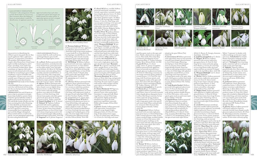 RHS A-Z Encyclopedia of Garden Plants F009747 фото