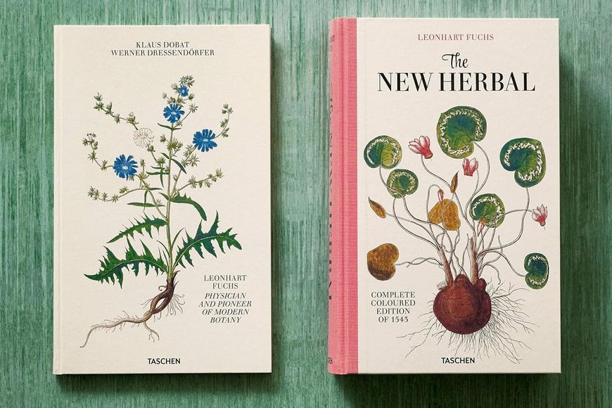 Leonhart Fuchs: The New Herbal / Physician and Pioneer of Modern Botany F013117 фото