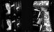 Daido Moriyama: A Retrospective F013020 фото 4