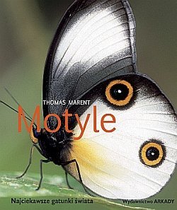 Motyle F001715 фото