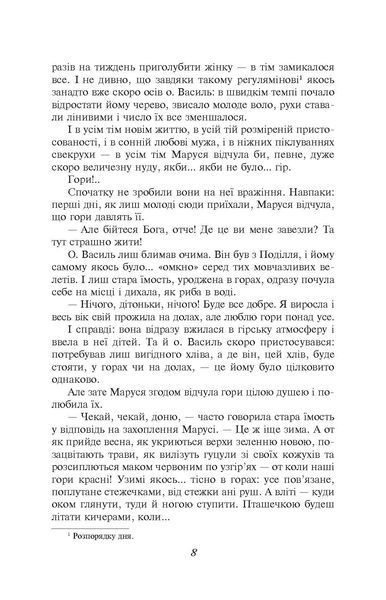 Камінна душа F007664 фото