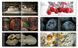 Food & Drink: Modernist Cuisine Photography F012454 фото 3