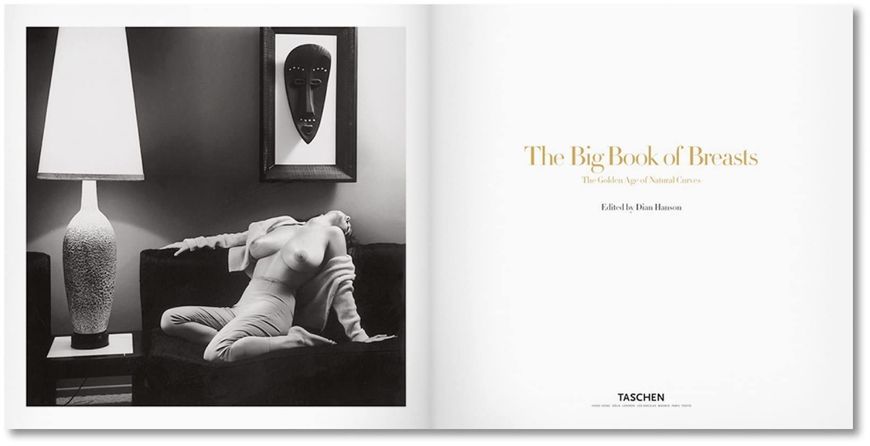 The Big Book of Breasts F007108 фото