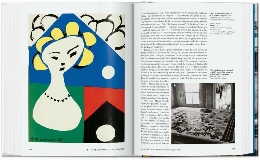 Matisse. Cut-outs F008298 фото
