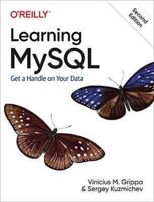 Learning MySQL: Get a Handle on Your Data F003319 фото