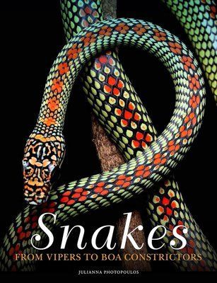 Snakes: From Vipers to Boa Constrictors F012754 фото