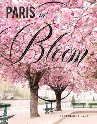 Paris in Bloom F001754 фото