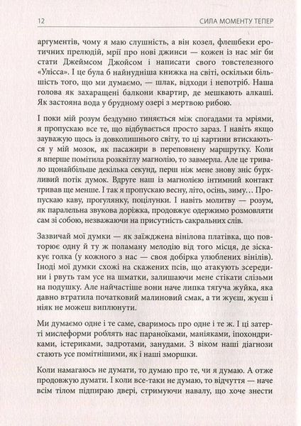 Сила моменту Тепер. Посібник із духовного просвітлення F005591 фото