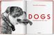 Walter Chandoha. Dogs. Photographs 1941–1991 F000236 фото 14